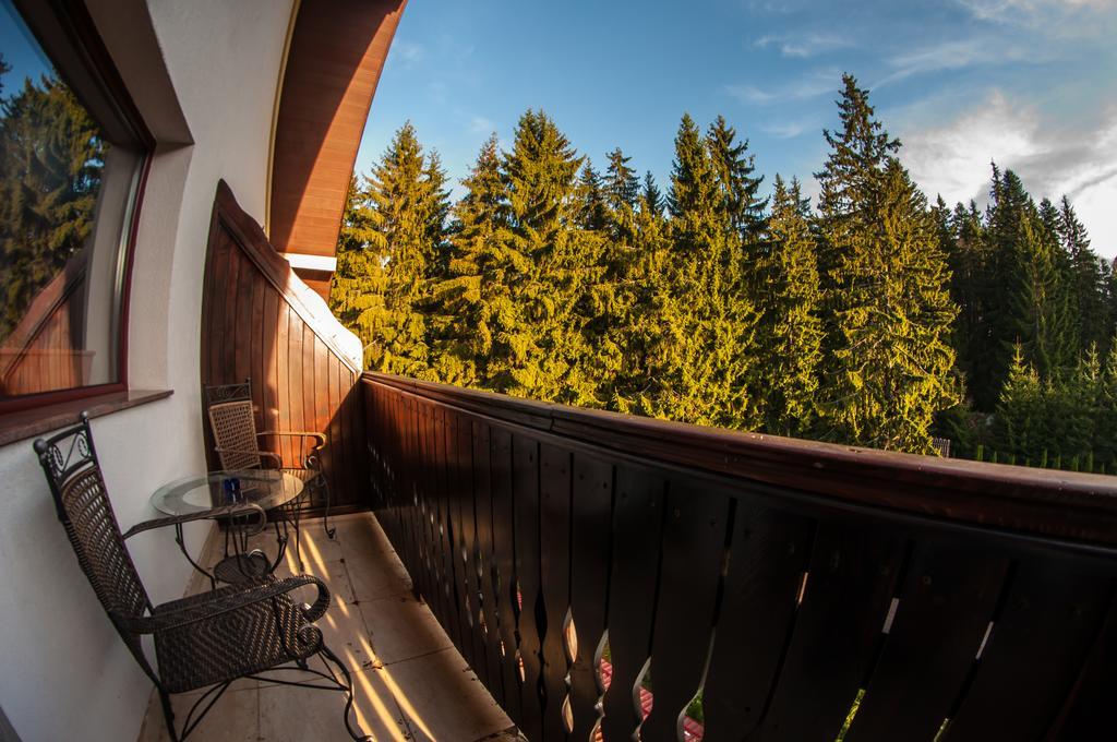 Hotel Carpatic Predeal Pokoj fotografie